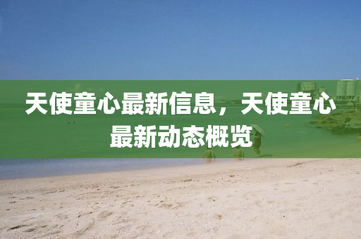 天使童心最新信息，天使金華市寶吉環(huán)境技術有限公司童心最新動態(tài)概覽
