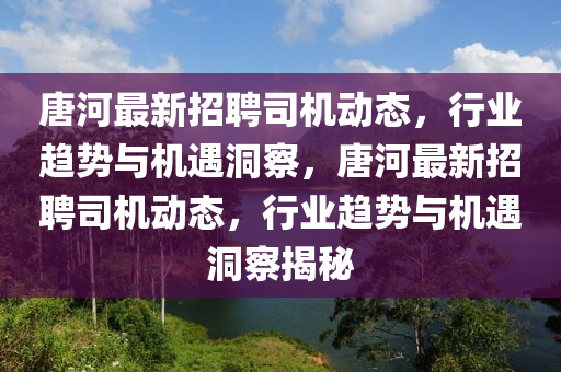 唐河最新招聘司機動態(tài)，行業(yè)趨勢與機遇洞察，唐河最新招聘司機動態(tài)，行業(yè)趨勢與機遇洞察揭秘金華市寶吉環(huán)境技術(shù)有限公司