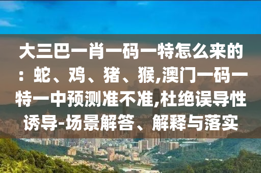 大三巴一肖一碼一特怎么來的：蛇、雞、豬、猴,澳門一碼一特一中預(yù)測準(zhǔn)不準(zhǔn),杜絕誤導(dǎo)性誘導(dǎo)-場景解答、解釋與落實(shí)金華市寶吉環(huán)境技術(shù)有限公司