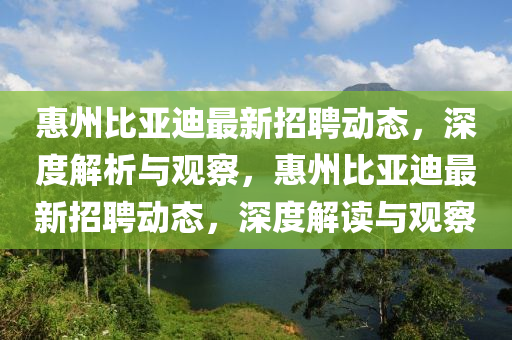 惠州比亞迪最新招聘動態(tài)，深度解析與觀察，惠州比亞迪最新招聘動態(tài)，深度解讀與觀察金華市寶吉環(huán)境技術(shù)有限公司