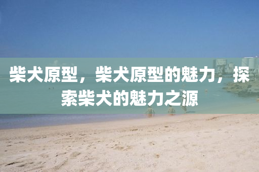 柴犬原型，柴犬原型的魅力，探索柴犬的魅力之源金華市寶吉環(huán)境技術有限公司