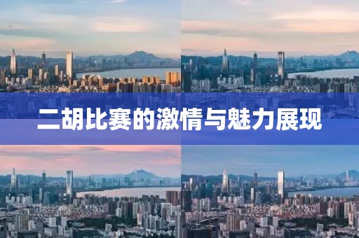 gongjiaming 第13頁