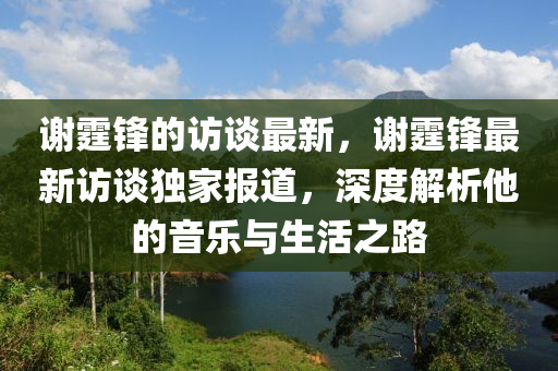 謝霆鋒的訪談最新，謝霆鋒最新訪談獨家報道，深度解析他的音樂與生活之路金華市寶吉環(huán)境技術有限公司