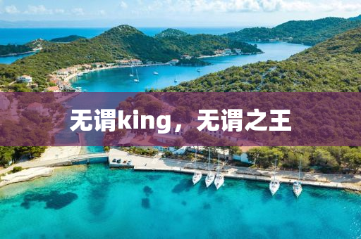 無謂king，無謂之王金華市寶吉環(huán)境技術(shù)有限公司